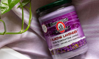 5 Incense Scents To Help Beat the Winter Blues