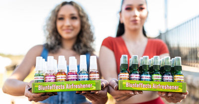 The Ultimate Guide to Choosing Air Fresheners for Your Home