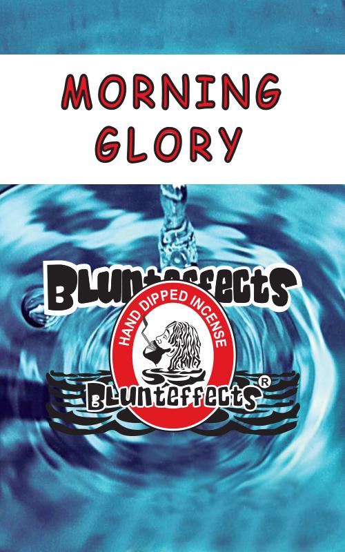 Morning Glory™ Hand-Dipped Incense